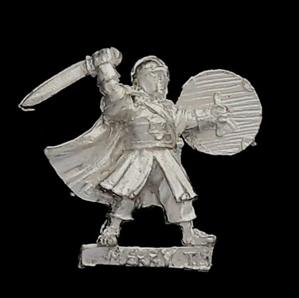 The Fellowship Armoured Merry