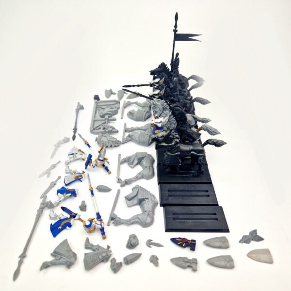 High Elves Silver Helms