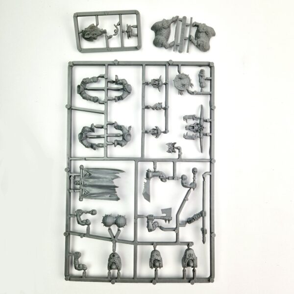 Orcs and Goblins Orc Boyz and Arrer Boyz