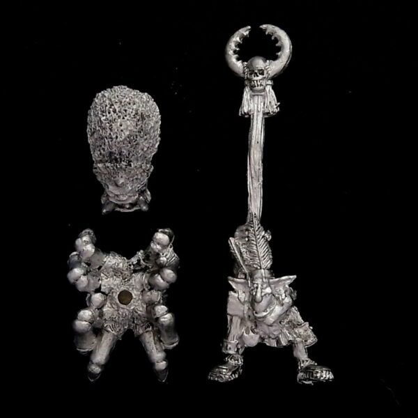 Orcs and Goblins Forest Goblin Spider Rider Standard Bearer