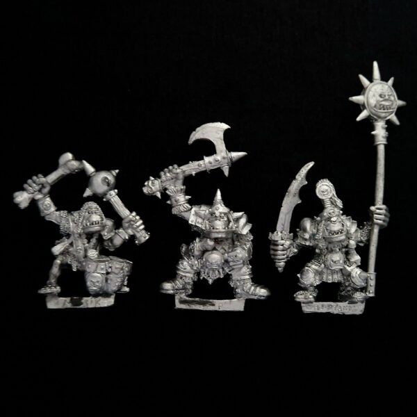 Orcs and Goblins Orc Warriors Command