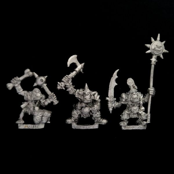 Orcs and Goblins Orc Warriors Command
