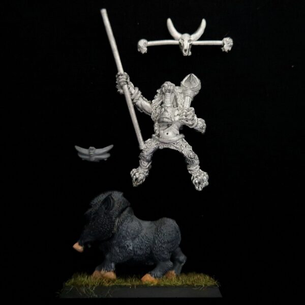 Orcs and Goblins Savage Boar Boyz Standard Bearer Orcs and Goblins Savage Boar Boyz Standard Bearer