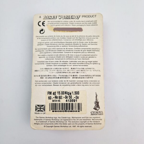 Orcs and Goblins Orc Boar Boyz Boss