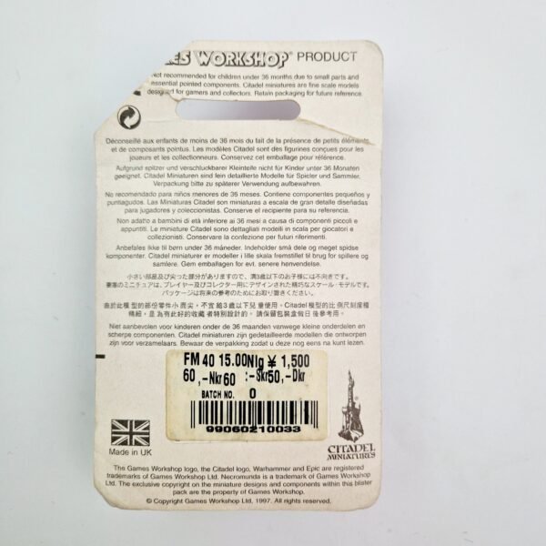 High Elves Ellyrian Reavers Champion