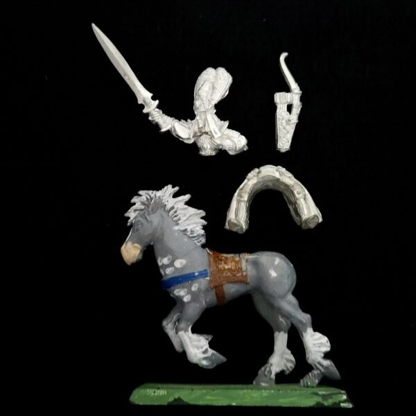 High Elves Ellyrian Reavers Champion