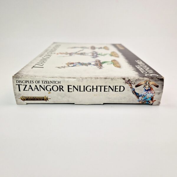 Chaos Daemons Tzaangor Enlightened
