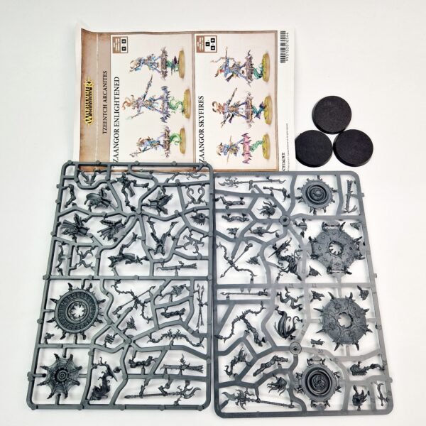 Chaos Daemons Tzaangor Enlightened