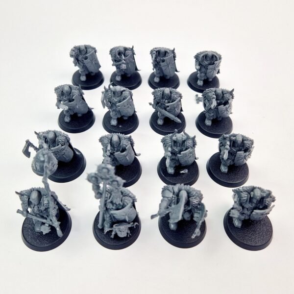 Chaos Slaves to Darkness Warriors