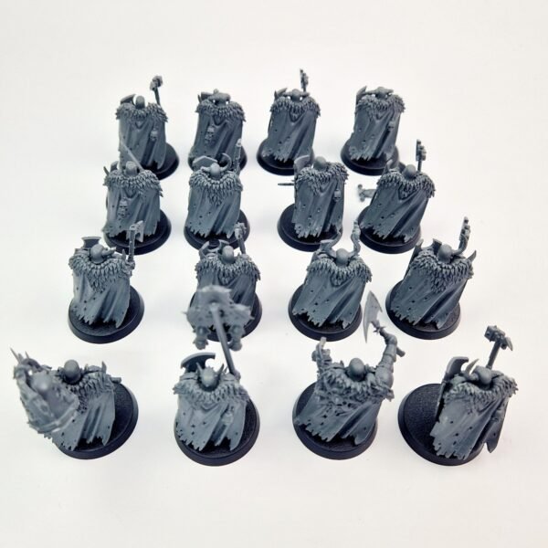 Chaos Slaves to Darkness Warriors