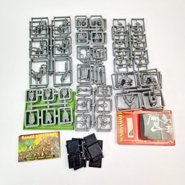 Chaos Warriors Regiment Chaos Warriors Regiment