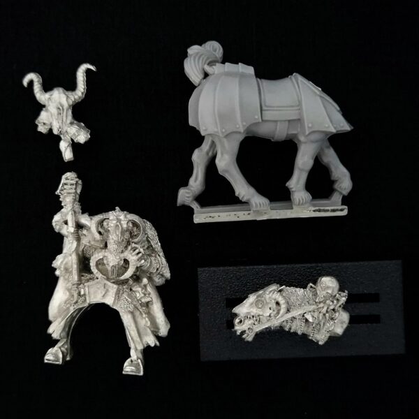 Chaos Warriors mounted Sorcerer