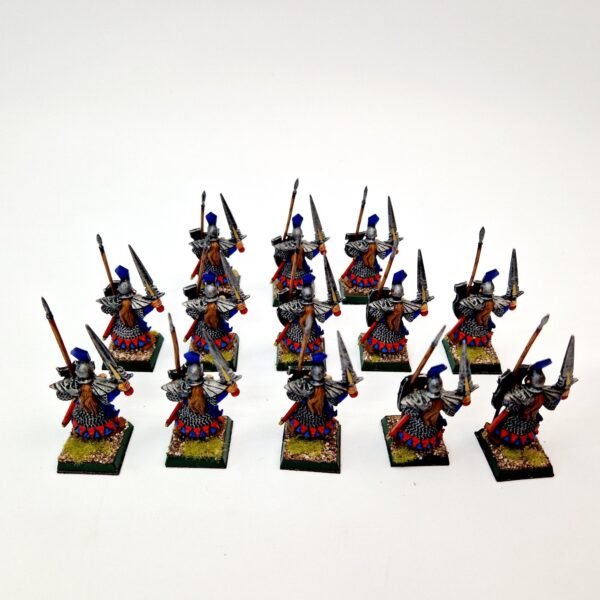 Dark Elves Warriors