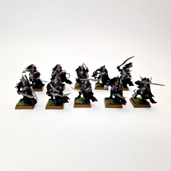Dark Elves Corsairs