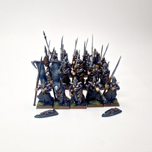 Dark Elves Warriors Regiment