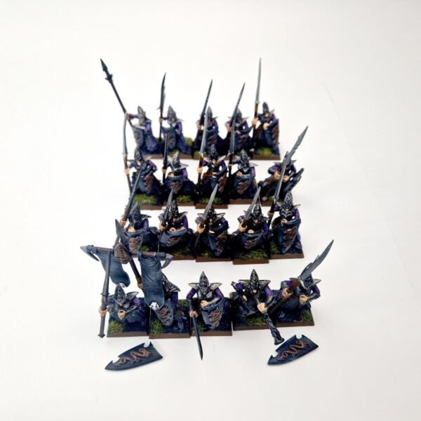 Dark Elves Warriors Regiment