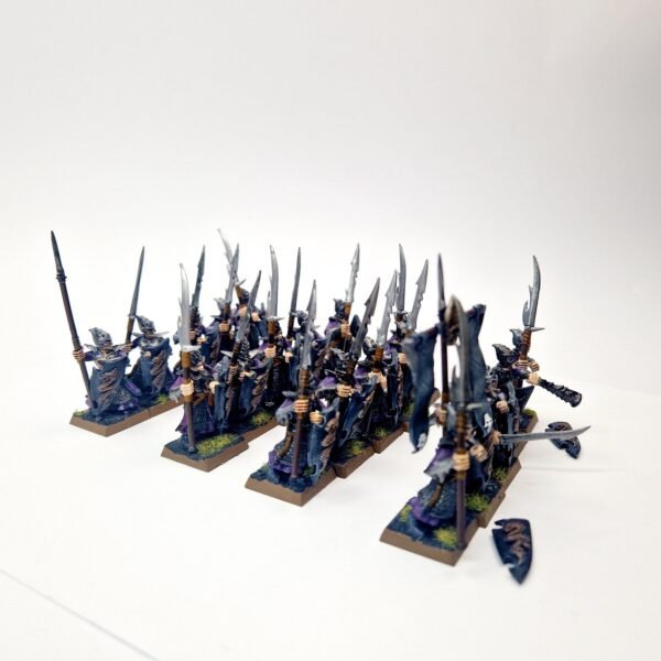 Dark Elves Warriors Regiment