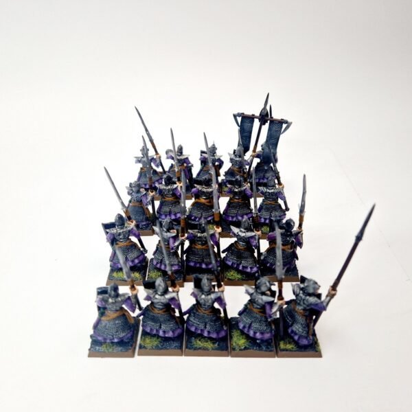Dark Elves Warriors Regiment