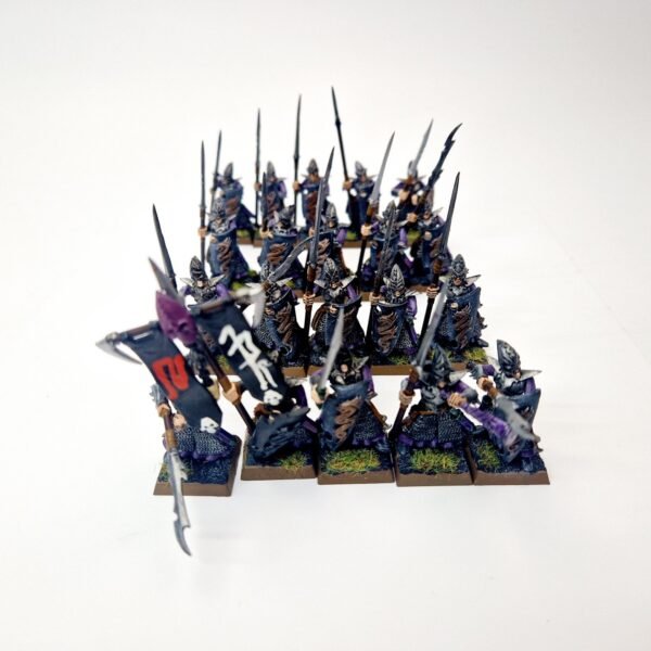 Dark Elves Warriors Regiment