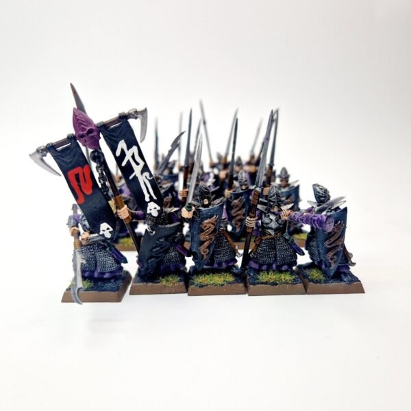 Dark Elves Warriors Regiment