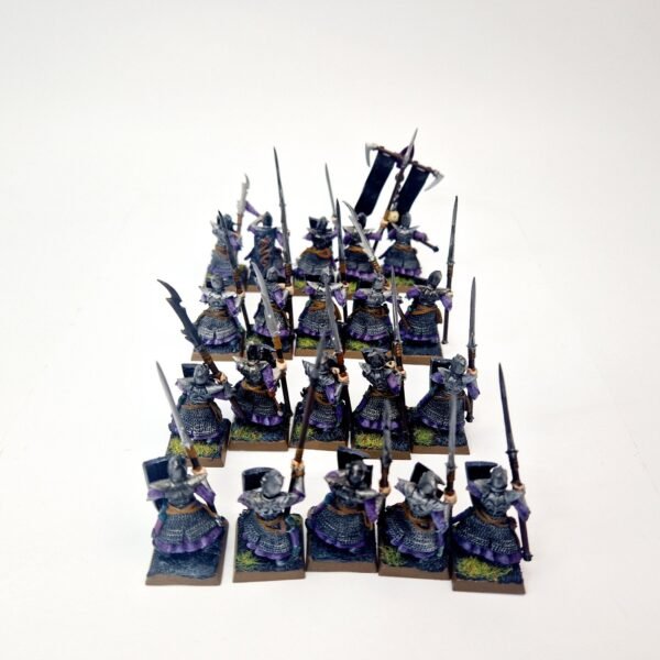 Dark Elves Warriors Regiment