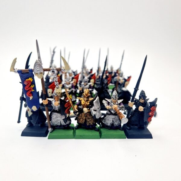 Dark Elves Warriors Regiment