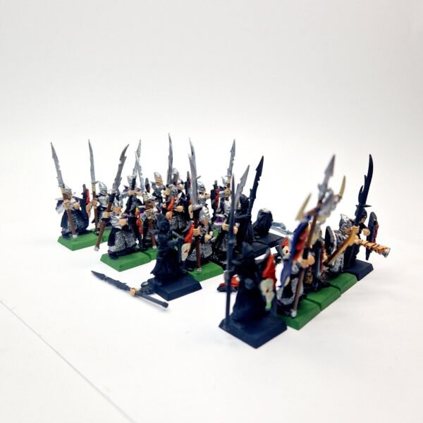 Dark Elves Warriors Regiment