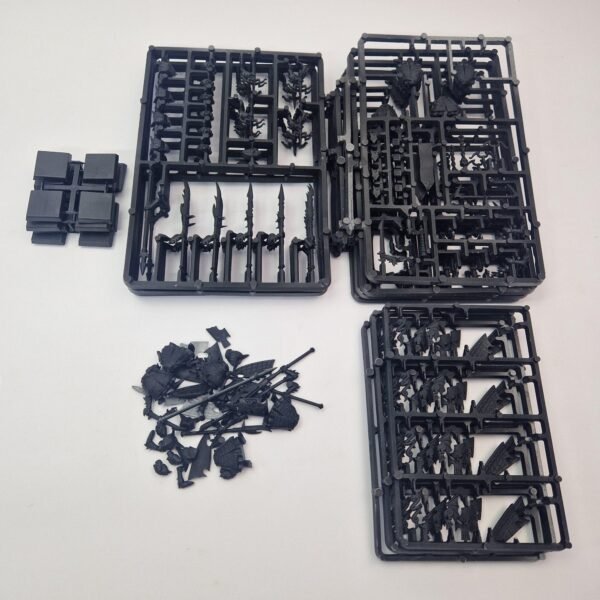 Dark Elves Warriors Regiment