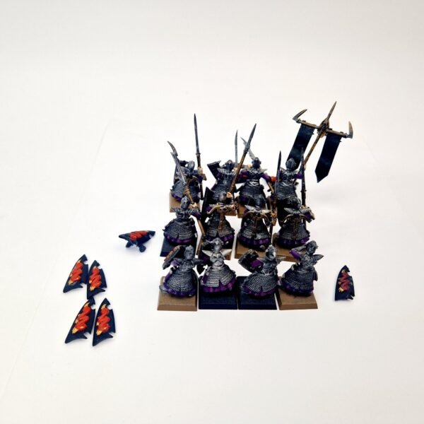 Dark Elves Warriors Regiment