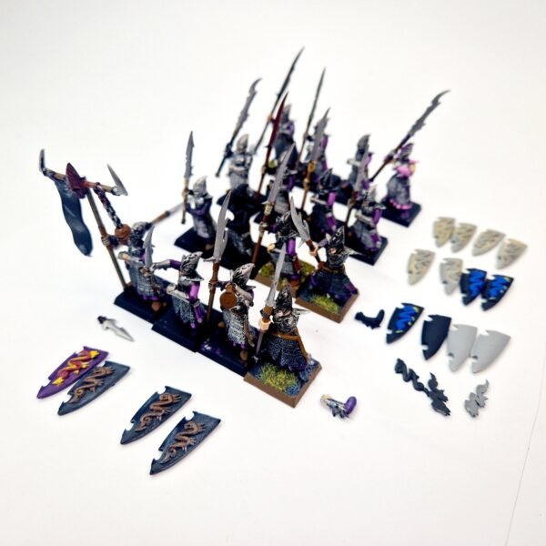 Dark Elves Warriors Regiment