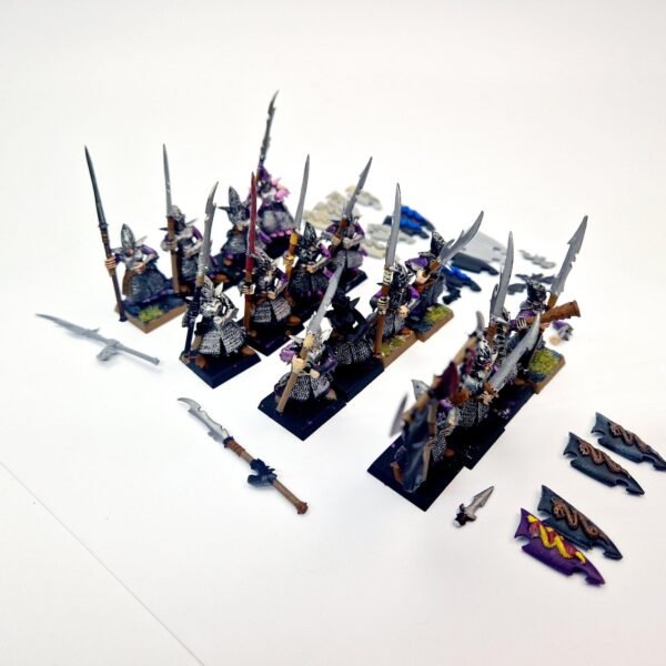 Dark Elves Warriors Regiment