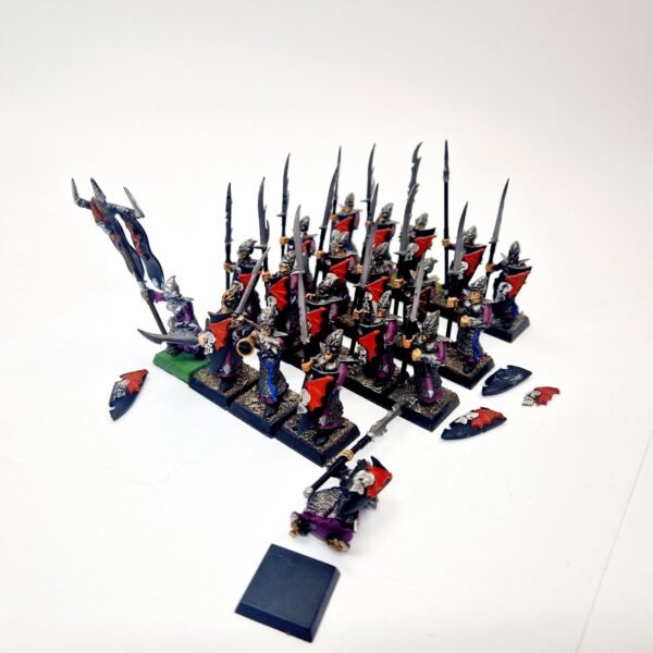 Dark Elves Warriors Regiment Dark Elves Warriors Regiment