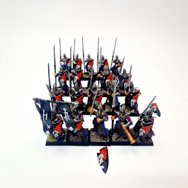 Dark Elves Warriors Regiment