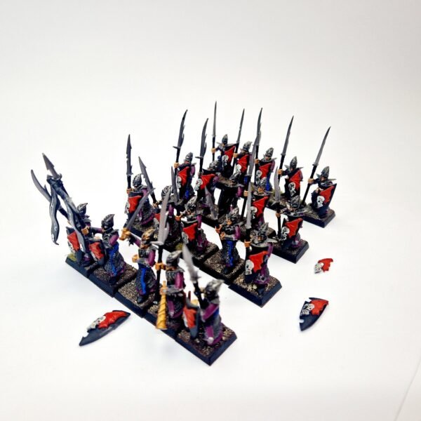 Dark Elves Warriors Regiment