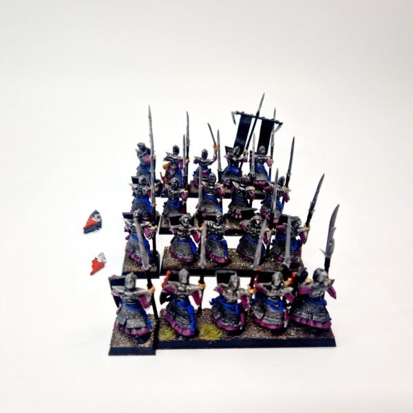 Dark Elves Warriors Regiment