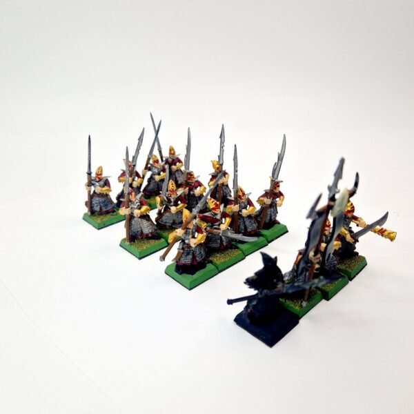 Dark Elves Warriors Regiment