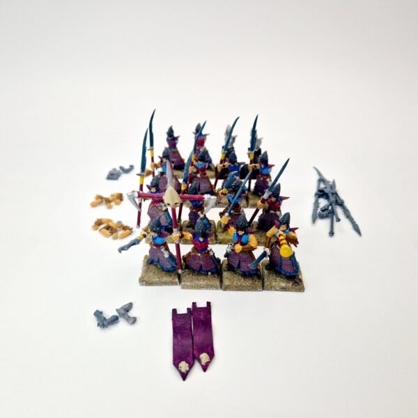 Dark Elves Warriors Regiment