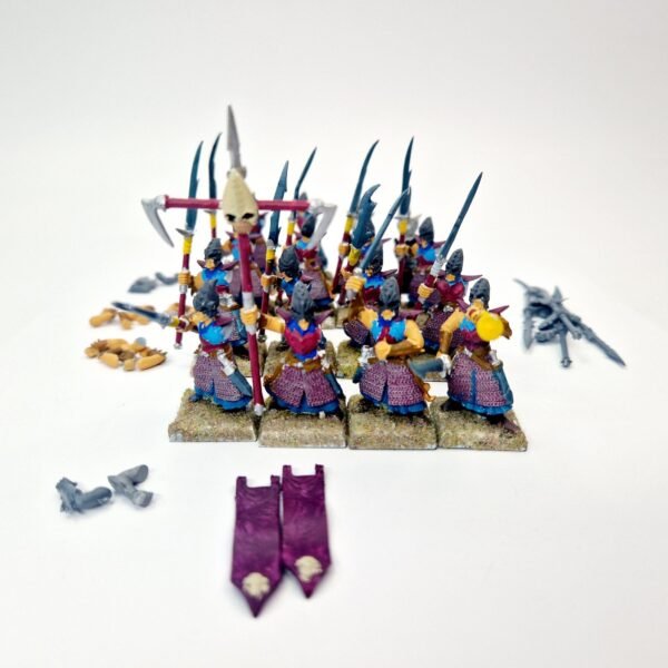 Dark Elves Warriors Regiment