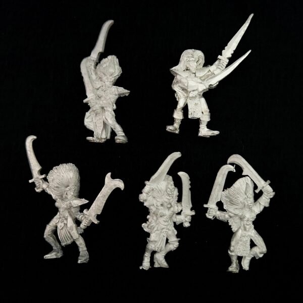 Dark Elves Witch Elves