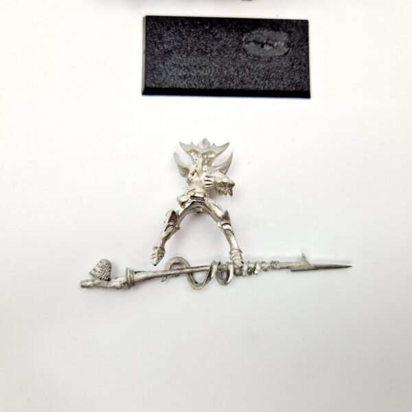 Dark Elves Cold One Knight