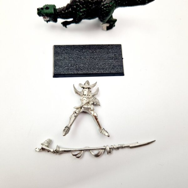 Dark Elves Cold One Knight