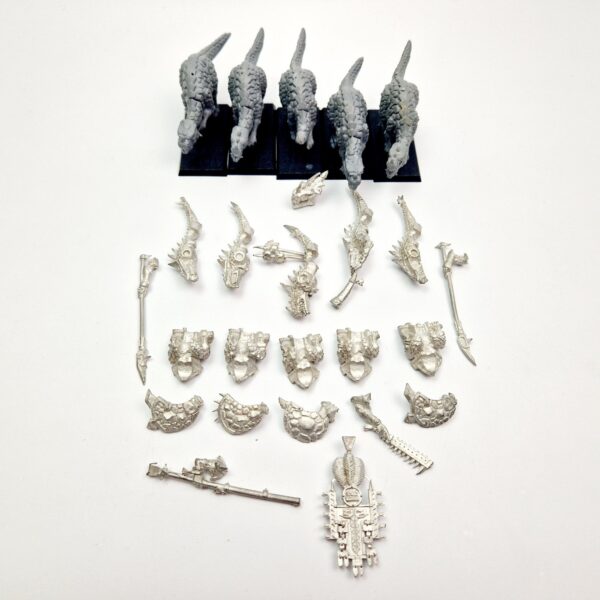 Lizardmen Saurus Warriors on Cold Ones