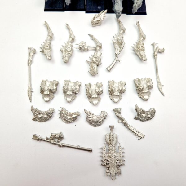 Lizardmen Saurus Warriors on Cold Ones