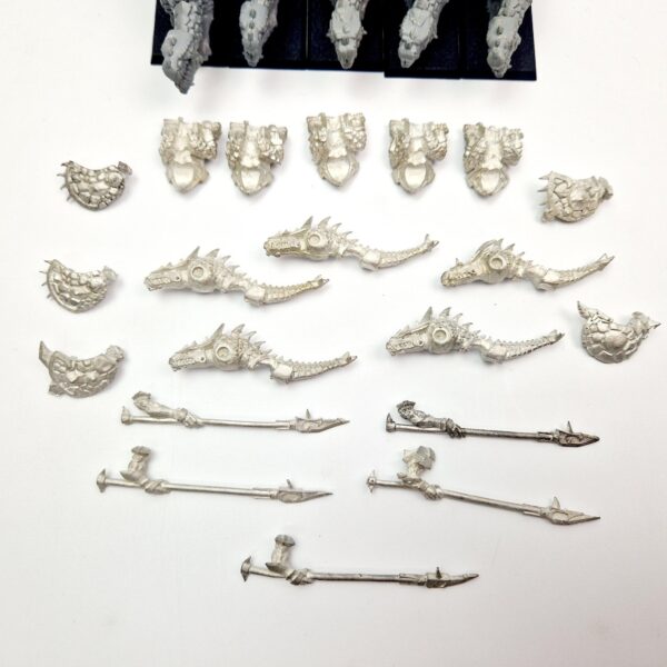 Lizardmen Saurus Warriors on Cold Ones