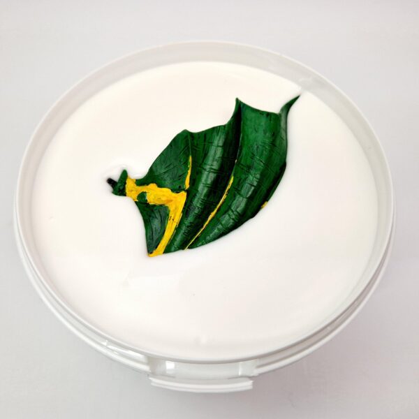 Biostrip 20 – Paint Stripper