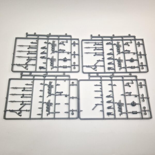 Lizardmen Saurus Warriors Regiment
