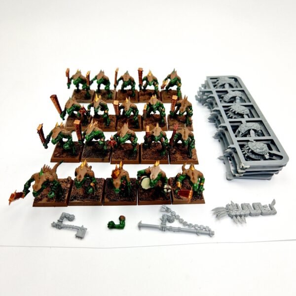 Lizardmen Saurus Warriors Regiment