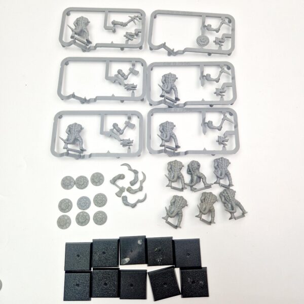 Lizardmen Saurus Warriors