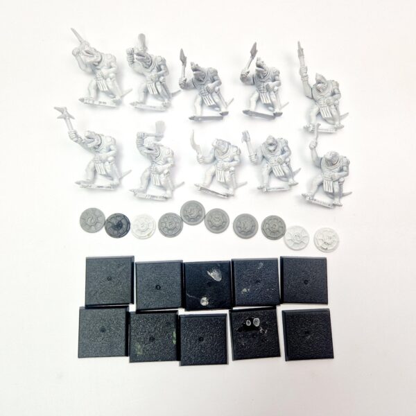 Lizardmen Saurus Warriors