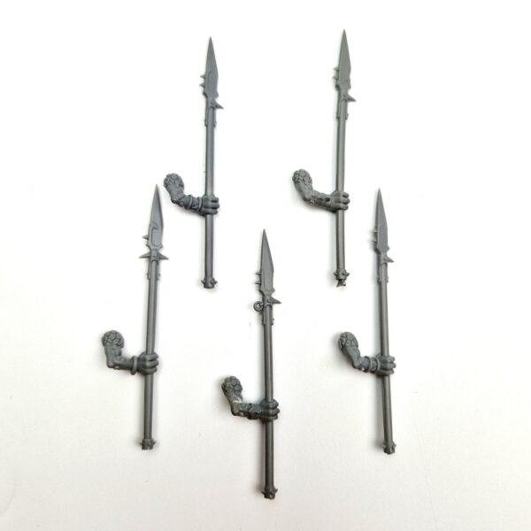 Lizardmen Saurus Warriors Regiment Spears
